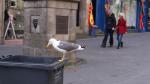 DSC05604.JPG