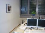 DSC00973.JPG