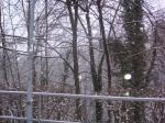 DSC01026.JPG