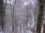 DSC01027.JPG